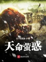 天命萤惑封面