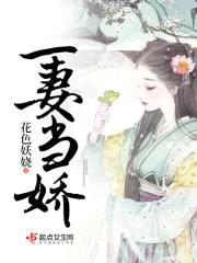一妻当娇封面