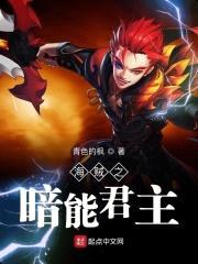 海贼之暗能君主封面