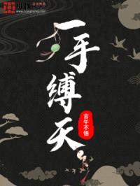 一手缚天封面