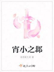 宵小之邶封面