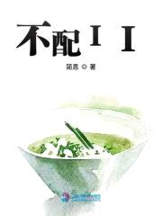 不配II封面