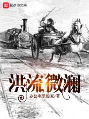 洪流微澜封面