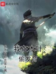 我在木叶偷发育封面