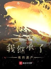 我继承了祇的遗产封面
