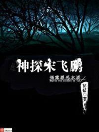 神探宋飞鹏封面
