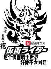这个假面骑士世界好像不太对劲封面