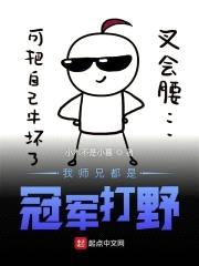 我师兄都是冠军打野封面