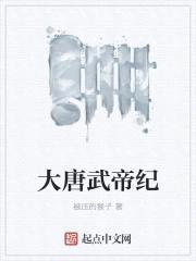 大唐皇帝成长计划封面