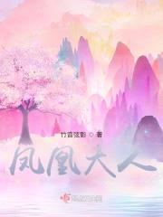 凤凰大人封面