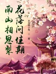 南山相思梨花落问佳期封面