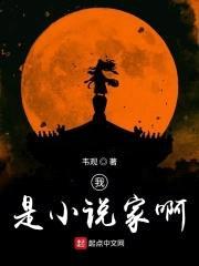 我是小说家啊封面