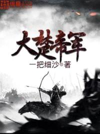 大楚帝军封面
