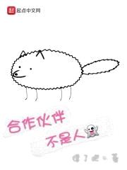 合作伙伴不是人封面