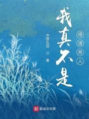 我真不是得道高人封面
