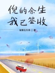 倪的余生，不可惜封面