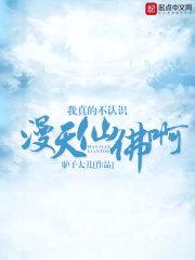 我真的不认识漫天仙佛啊封面