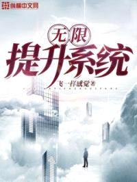 无限提升系统封面