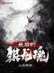 最后的银龙魂封面
