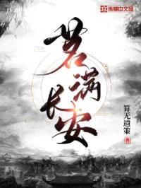 茗满长安封面