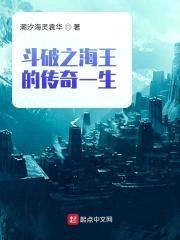 斗破之海王的传奇一生封面