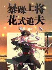 暴躁上将花式追夫封面