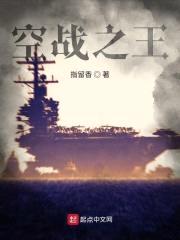 空战之王封面