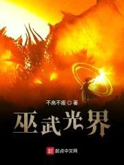 巫武光界封面
