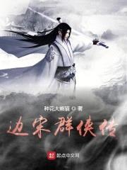 边宋群侠传封面