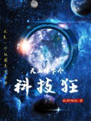 天上掉下个科技狂封面