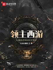领主西游封面