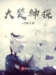 大楚神探封面