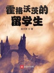 霍格沃茨的留学生封面