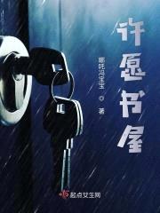 许愿书屋封面
