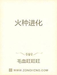 火种进化封面