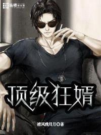 顶级狂婿封面