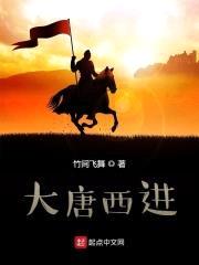 合约赘婿封面
