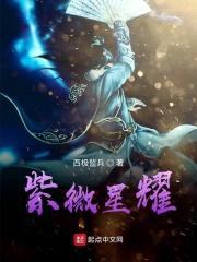 紫微星耀封面