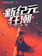 新纪元狂潮封面
