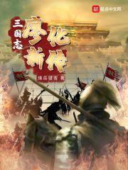 三国志廖化新传封面