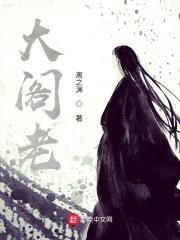 大阁老封面