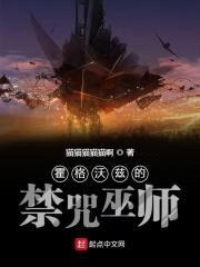 霍格沃兹的禁咒巫师封面