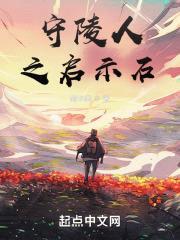 守陵人之青铜门封面