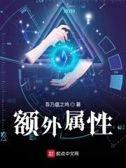 额外属性封面