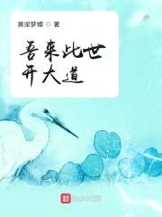 吾来此世开大道封面