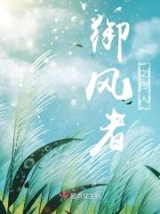 御风者之传人封面