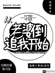 华娱从老婆倒追我开始封面