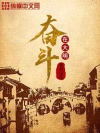 奋斗在大明封面