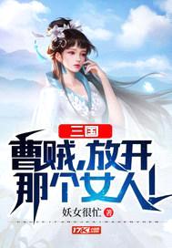 三国：曹贼，放开那个女人！封面