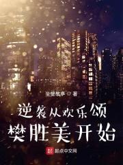 逆袭从欢乐颂樊胜美开始封面